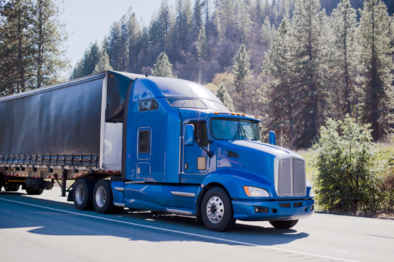 A semi-truck with a blue cab and black trailer is driving down a road with pine trees in the background.